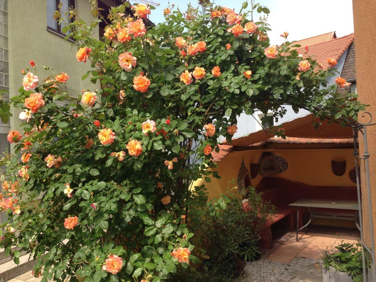 Casanova Appartement Bad Windsheim Buitenkant foto